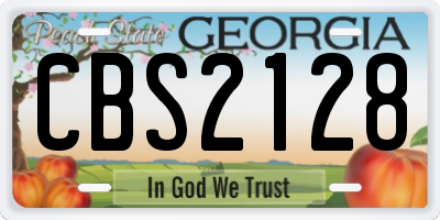 GA license plate CBS2128