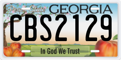 GA license plate CBS2129