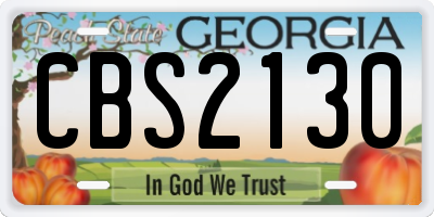 GA license plate CBS2130