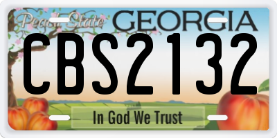 GA license plate CBS2132