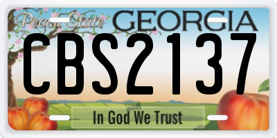 GA license plate CBS2137