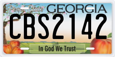 GA license plate CBS2142