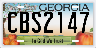 GA license plate CBS2147