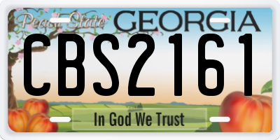 GA license plate CBS2161