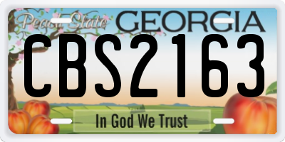 GA license plate CBS2163