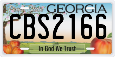 GA license plate CBS2166
