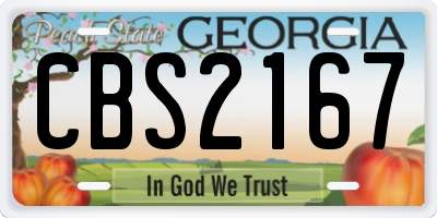 GA license plate CBS2167