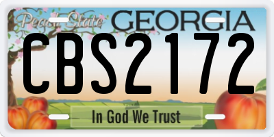 GA license plate CBS2172