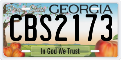 GA license plate CBS2173