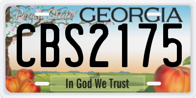 GA license plate CBS2175