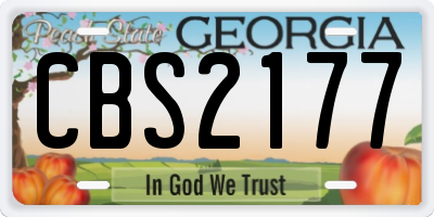 GA license plate CBS2177