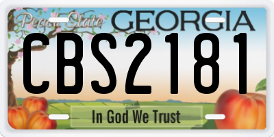 GA license plate CBS2181