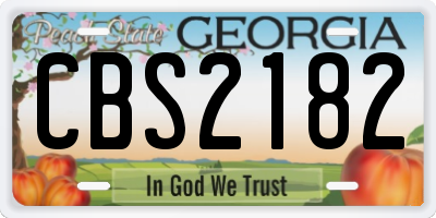 GA license plate CBS2182