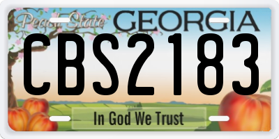 GA license plate CBS2183