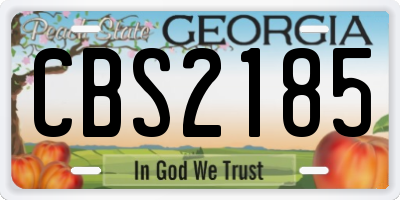 GA license plate CBS2185