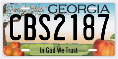 GA license plate CBS2187
