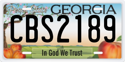 GA license plate CBS2189