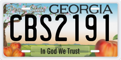 GA license plate CBS2191