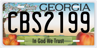 GA license plate CBS2199