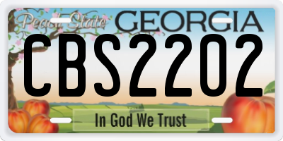 GA license plate CBS2202