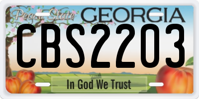 GA license plate CBS2203