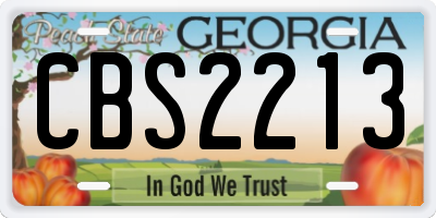 GA license plate CBS2213