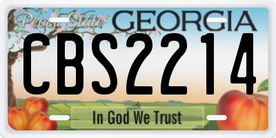 GA license plate CBS2214