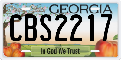 GA license plate CBS2217