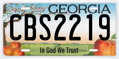 GA license plate CBS2219