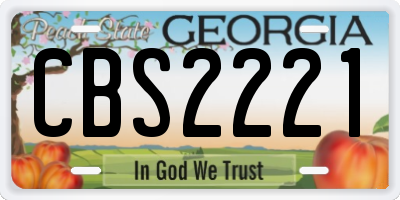 GA license plate CBS2221