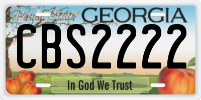 GA license plate CBS2222