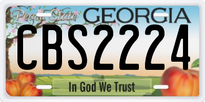 GA license plate CBS2224
