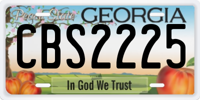 GA license plate CBS2225