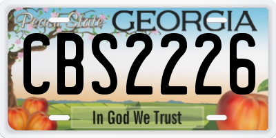GA license plate CBS2226