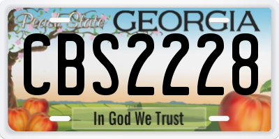 GA license plate CBS2228