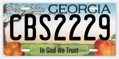 GA license plate CBS2229