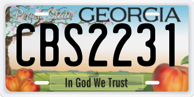 GA license plate CBS2231