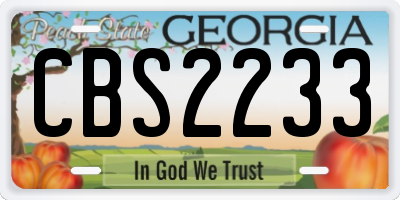 GA license plate CBS2233
