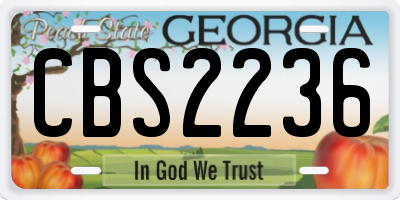 GA license plate CBS2236