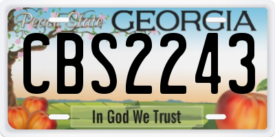 GA license plate CBS2243