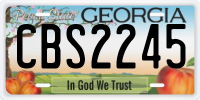 GA license plate CBS2245