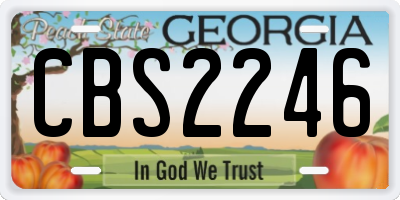 GA license plate CBS2246