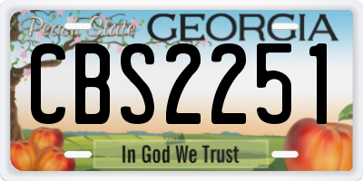 GA license plate CBS2251