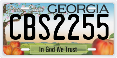 GA license plate CBS2255