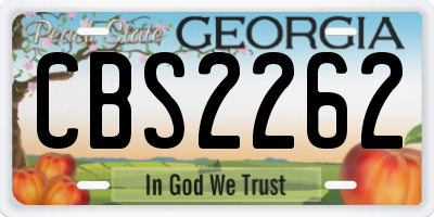 GA license plate CBS2262