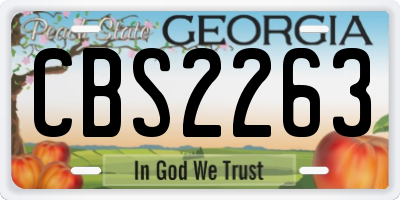 GA license plate CBS2263