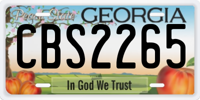 GA license plate CBS2265