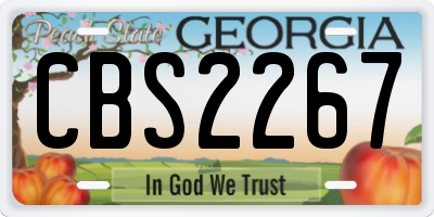 GA license plate CBS2267