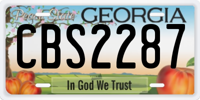 GA license plate CBS2287