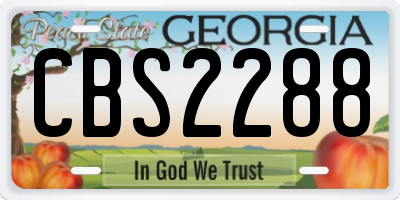 GA license plate CBS2288